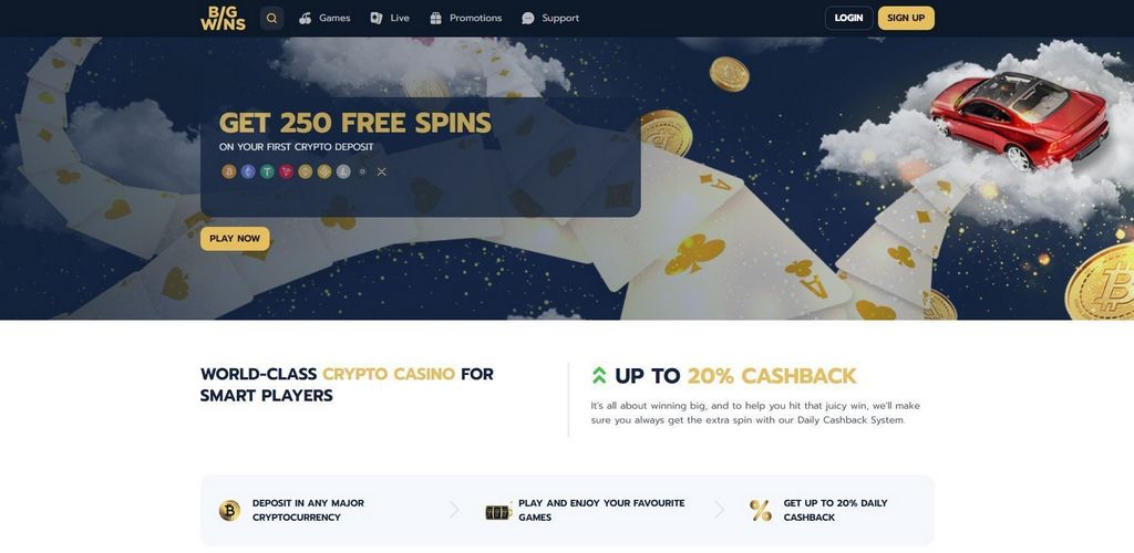 BigWins Gambling Establishment - Check Out 3 Crucial Things Before 200 Cash Money Rotates